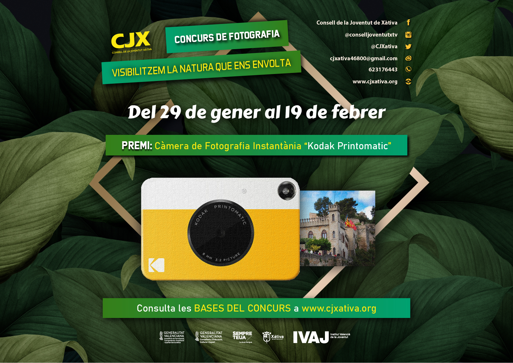 Participa del Concurs de Fotografia en la Natura fins el 19 de febrer.  Consulta les Bases ací. - Consell de la Joventut de Xàtiva